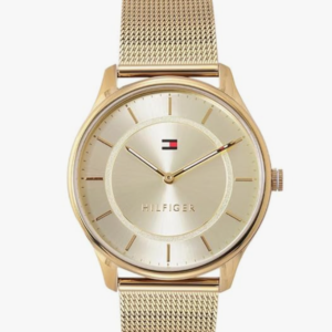 Tommy Hilfiger Quartz Blue Dial Two Toned Stainless Steel Strap Analog Watch for Women